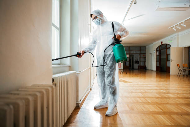 Pest Control for Hotels in Johnston City, IL